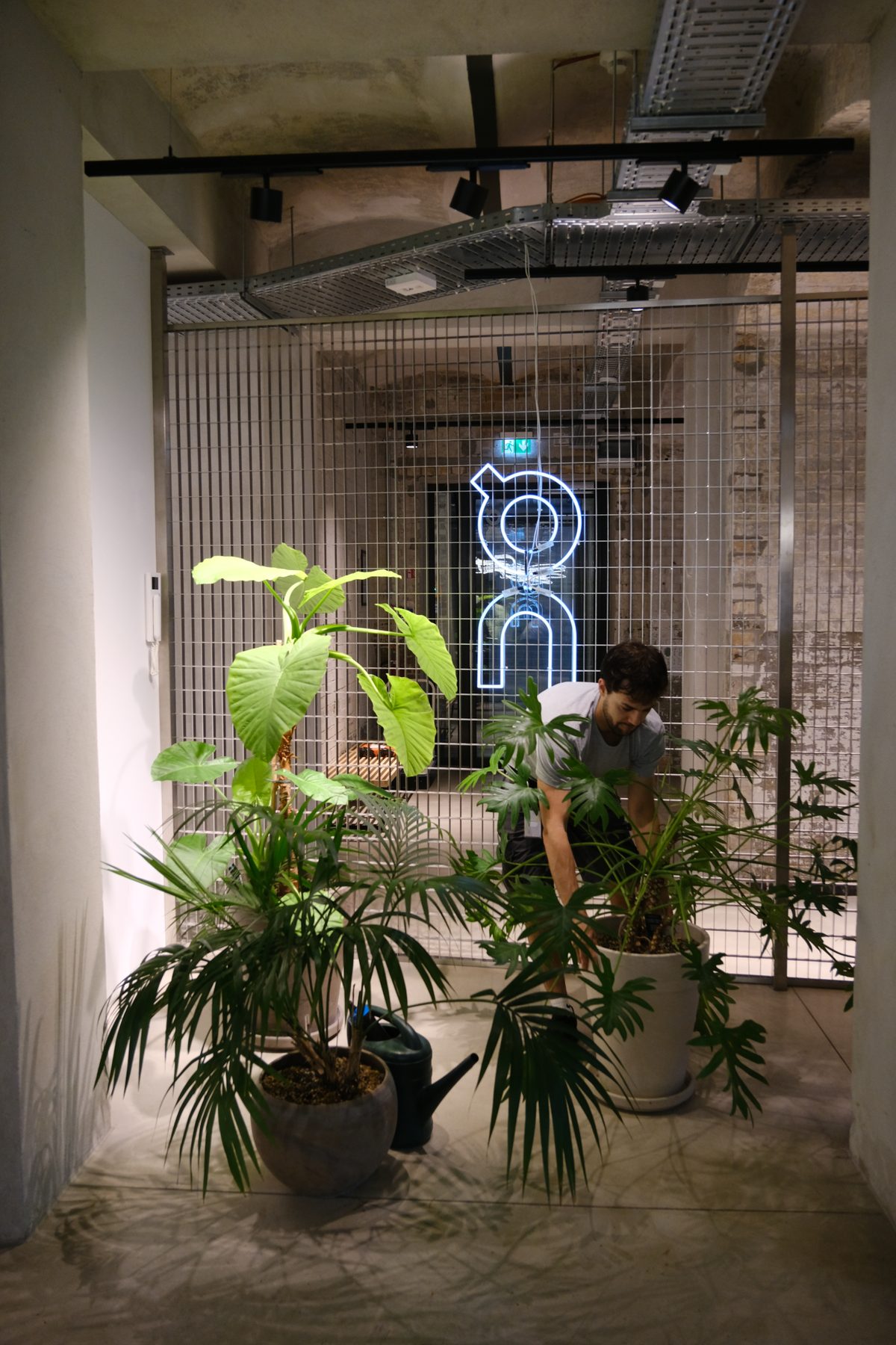 A plantclub plant expert installing plants on site